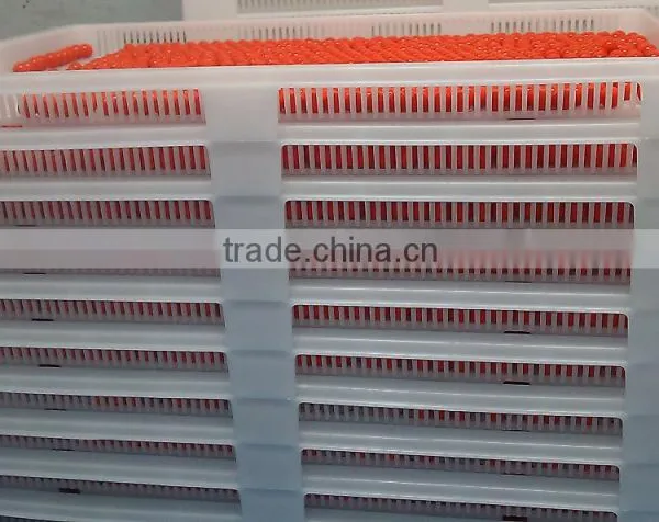 Tumble Dryer Trays and Tolley for Softgel Encapsule photo-6