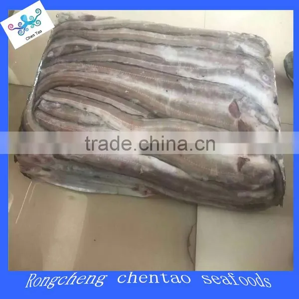Eel conger eel far ocean eel