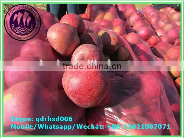 2015 Fresh Fuji Apple on Sale in Hot Sale Season With High Quality and Lowest Price photo-3