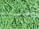 Offer Customs Clearance and Shipping Services for Oolong Tea