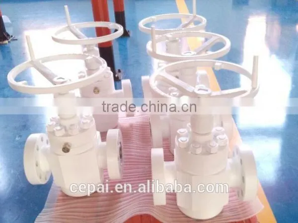 Gate Valve/Slab Gate Valve/FC Gate Valve/FLS Gate Valve/API6A Valve photo-4