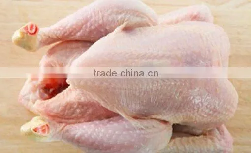 High Quality Halal Whole Frozen Chicken for Sale