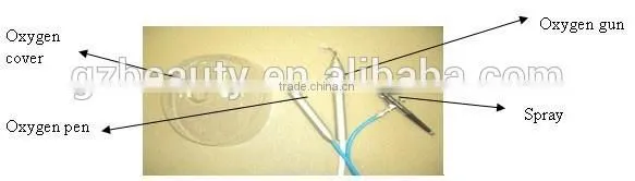 WF-05 Oxygen Infusion Skin Care Machine photo-6
