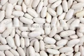 WHITE KIDNEY BEANS