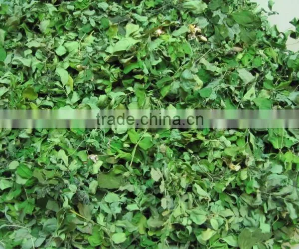 DRIED MORINGA LEAVES