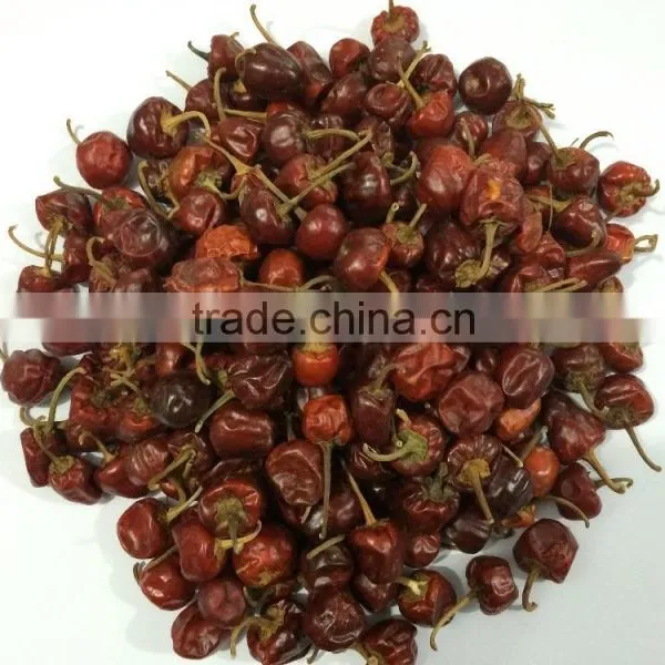 Dry Round Red Chilli