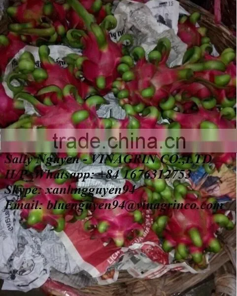 DRAGON FRUIT-RED FLESH
