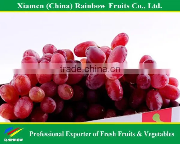 Fresh Fruits and Vegetables From China