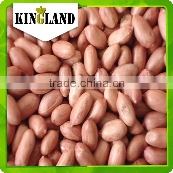 Bulk Peanut Kernel photo-5