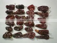 Dry Red Chili photo-2
