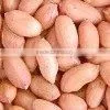 peanuts kernels