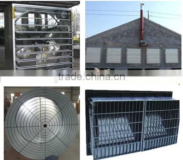 Automatic Chicken Rearing Equipment for Breeder photo-6