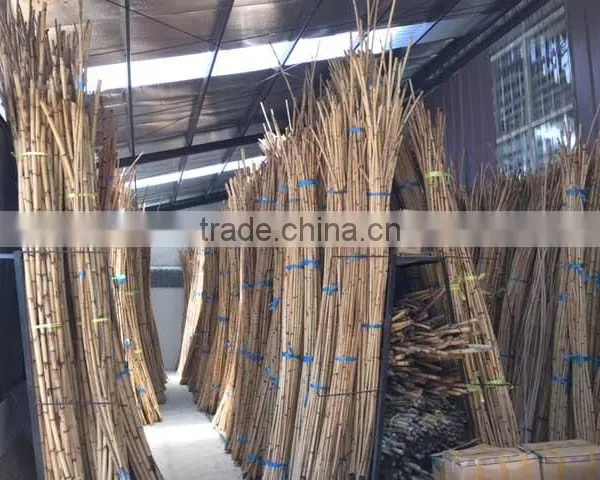 MANAU CANE RATTAN
