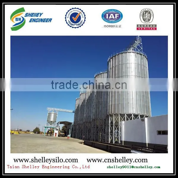 Metal Bolted Silo With Fumigation photo-5