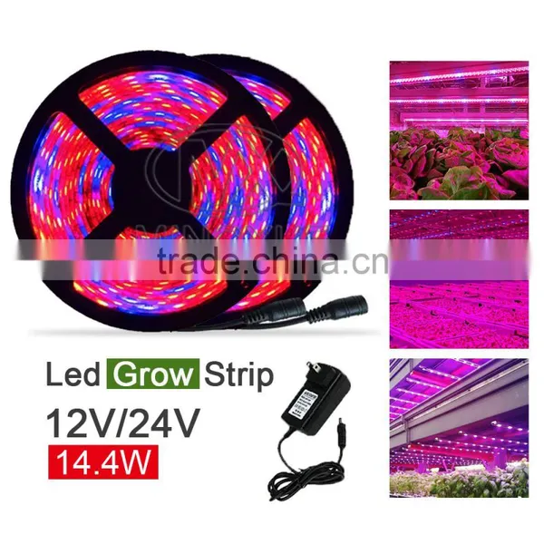 LED Strip Grow Light Indooruse photo-5