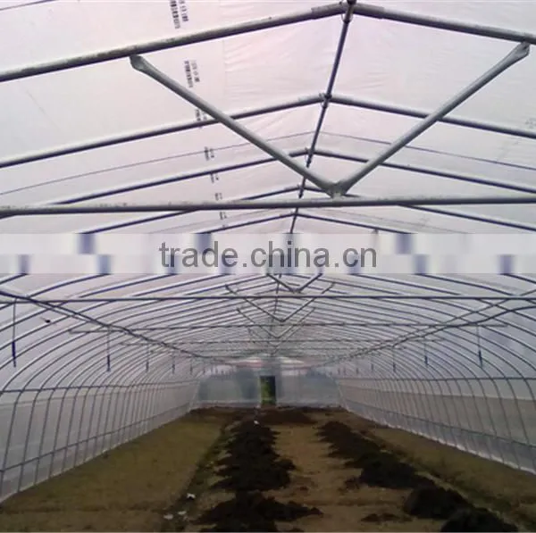 Economical Single Span Arch Pipes Film Greenhouse photo-2