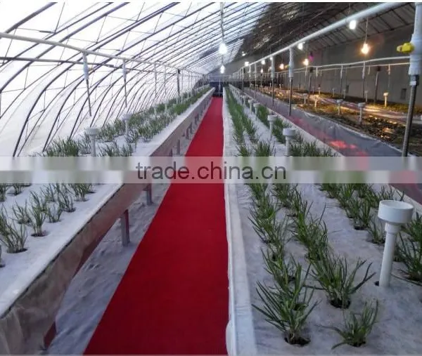Hydroponics Growing Equipment for Sale photo-2