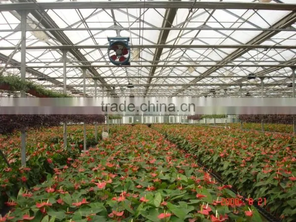 Flower Greenhouse photo-6