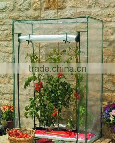 PVC Tomato Greenhouse