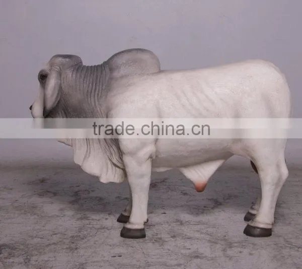 Definitive Brahman Looking Right photo-3