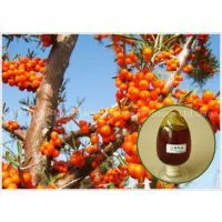Natural Pure Herbal Extraction Sea Buckthorn Seed Oil Manufacturer CPHI China 2015