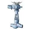 Pressure Seal Globe Valve