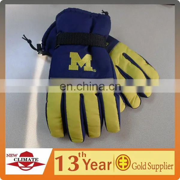 Waterproof Ski Gloves,ski Gloves