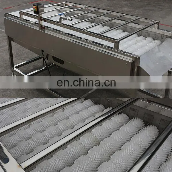 Automatic Lemon Plum Cherry Blue Berry Fruit Washer Brush Rollers Baby Carrot Potato Turnip Vegetable Washing Machine on Sale photo-6