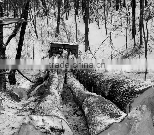 YARDING MACHINE photo-2