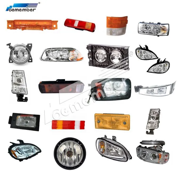 OE Member Truck Spare Parts Truck Lamp Headlight of Truck Body Parts