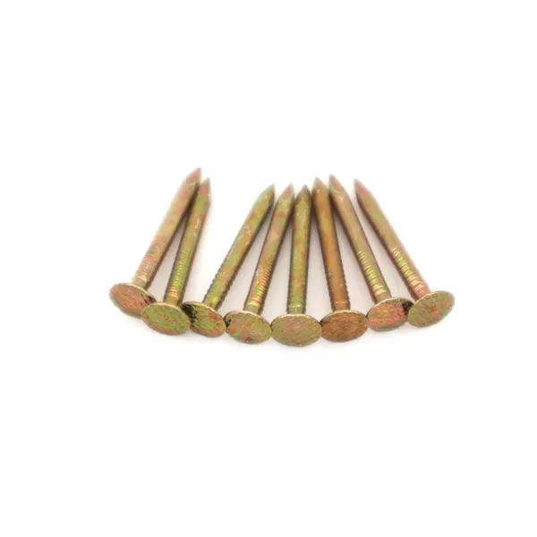 Electro Galvanized Carbon Steel Wire Nails - Factory Direct From China photo-3