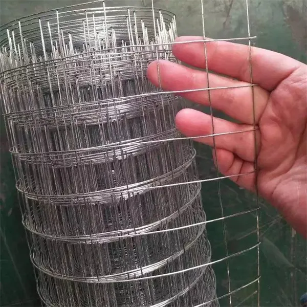 Electric Galvanized Welded Wire Mesh Rolls Square Hole 1/4