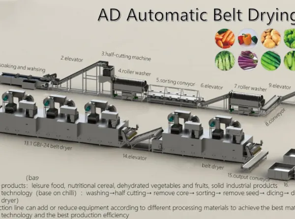 Automatic Belt Drying Processing Line photo-2