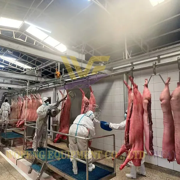 450 Pig Per Shift Slaughter House Equipment Swine Abattoir Machine Line Hog Butcher Machinery Pork Processing Workshop USDA photo-3
