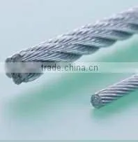 Gavanized Steel Wire Rope