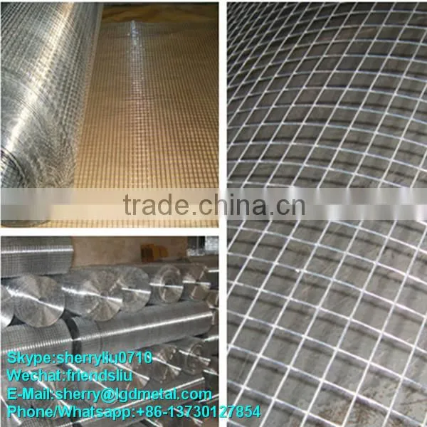 China 10x10 Welded Wire Mesh Price Welded Mesh Price----WMSL029 photo-2