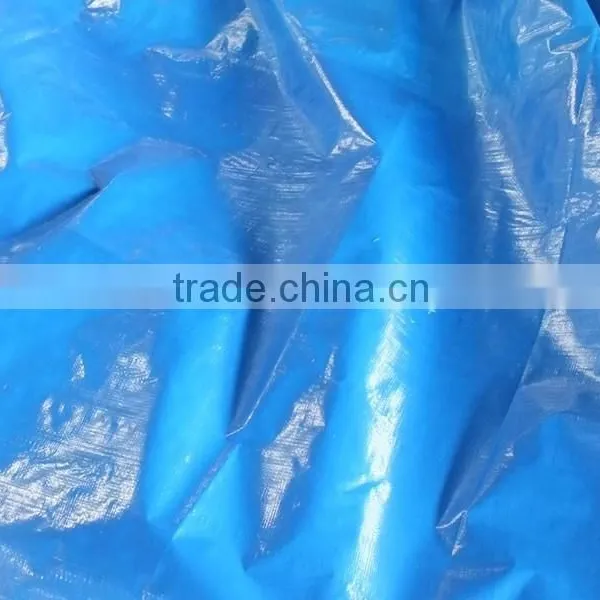 Custom Plastic pe Material Waterproof Fabric photo-3