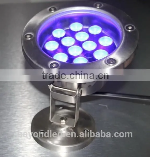 CE&RoHS Submersible Led Light for Swimming Pool 12v