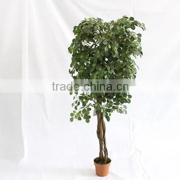 Fake Artificial Money Pant Tree Woode Trunk Home Decoration photo-2