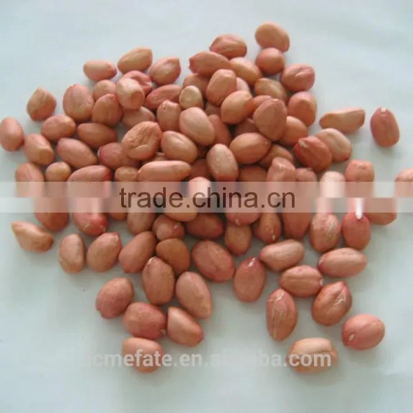 Shandong Long Type Blanched Red Skin Peanut Kernels photo-6