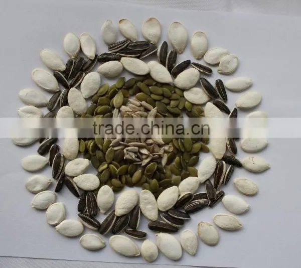 Popular Products Chinese Pumpkin Seeds photo-3