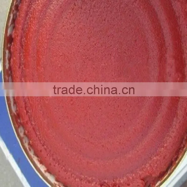 Price Canned Tomato Paste Tomato Packaging Ketchup photo-3