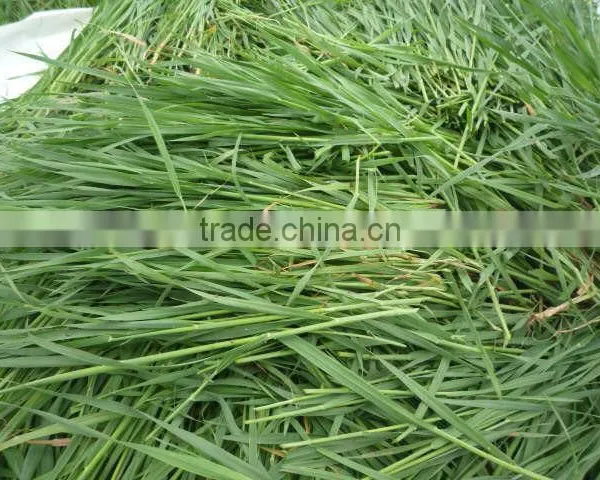 2016 100% Purity Organic Vegetable Powder Barley Grass Powder photo-2