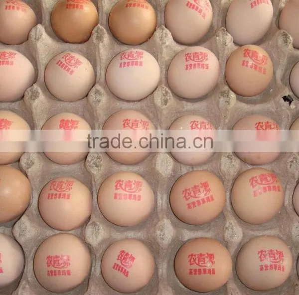 Commerical Yoghourt Date Coding Machine/milk Date Printer/dairy Product Date Printing Machine photo-6