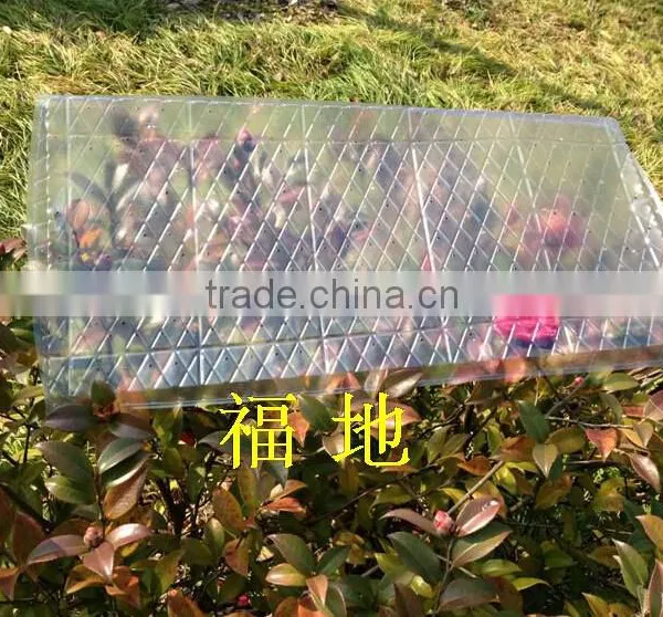 Flat Seed Tray for Rice Seedling/cultivating Rice Sprouts photo-2