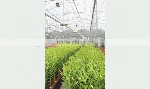 Polycarbonate Sheet Greenhouse photo-6