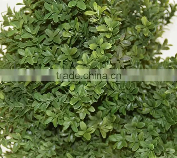 SJ041116 Small Bonsai Ball Plant Topiary Tree for Indoor Decoration photo-3