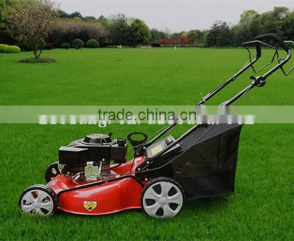 Hot Sale Large 50L Hand Push Ride on Mower photo-4