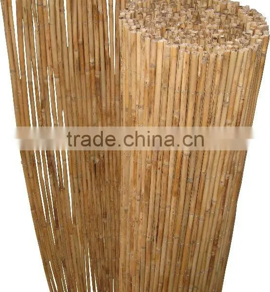 Bamboo Cane for Fence