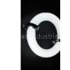 Induction Light